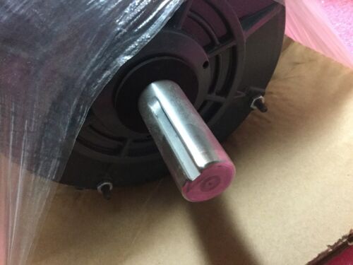 Lincoln Motors SSF2B1.5T61 Motor LM33122, 1-1/2HP - Image 5